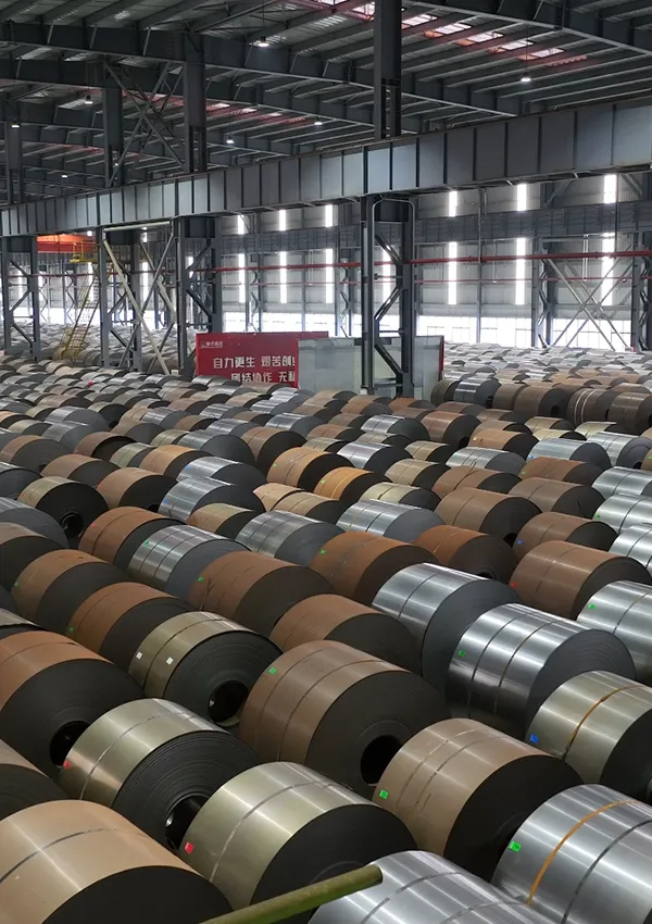Hot Rolled Pickled & Oiled Steel Sheet and Coil